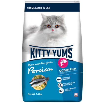 Kitty Yums 100% Complete and Balanced Dry Persian Adult Cat Food, Ocean Fish
