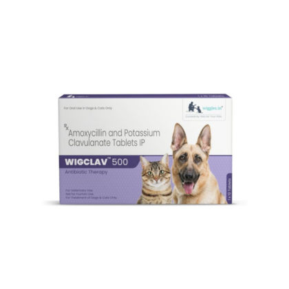 Wiggles.in Wigclav - 500 Antibiotic Tablets For Dogs and Cats