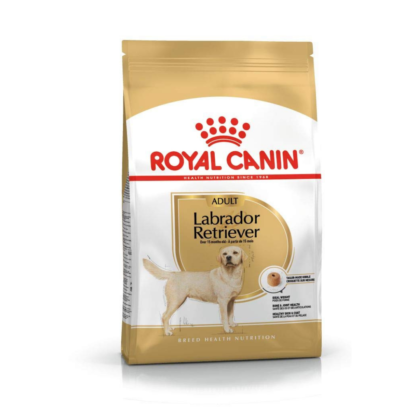 Royal Canin Labrador Retriever Adult Dry Dog Food