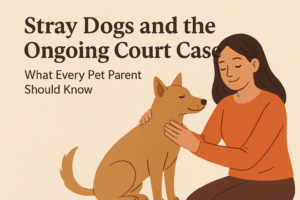 Stray Dogs and the Ongoing Court Case: What Every Pet Parent Should Know