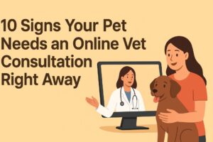 Online vet consultation