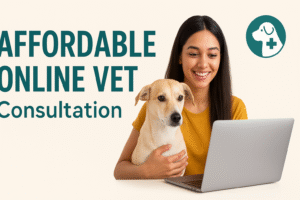Affordable online vet