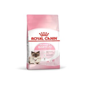Royal Canin Mother and Baby Dry Food for Cat 2Kg