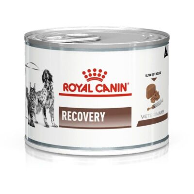 ROYAL CANIN RECOVERY CAN ADULT WET FOOD 195GM